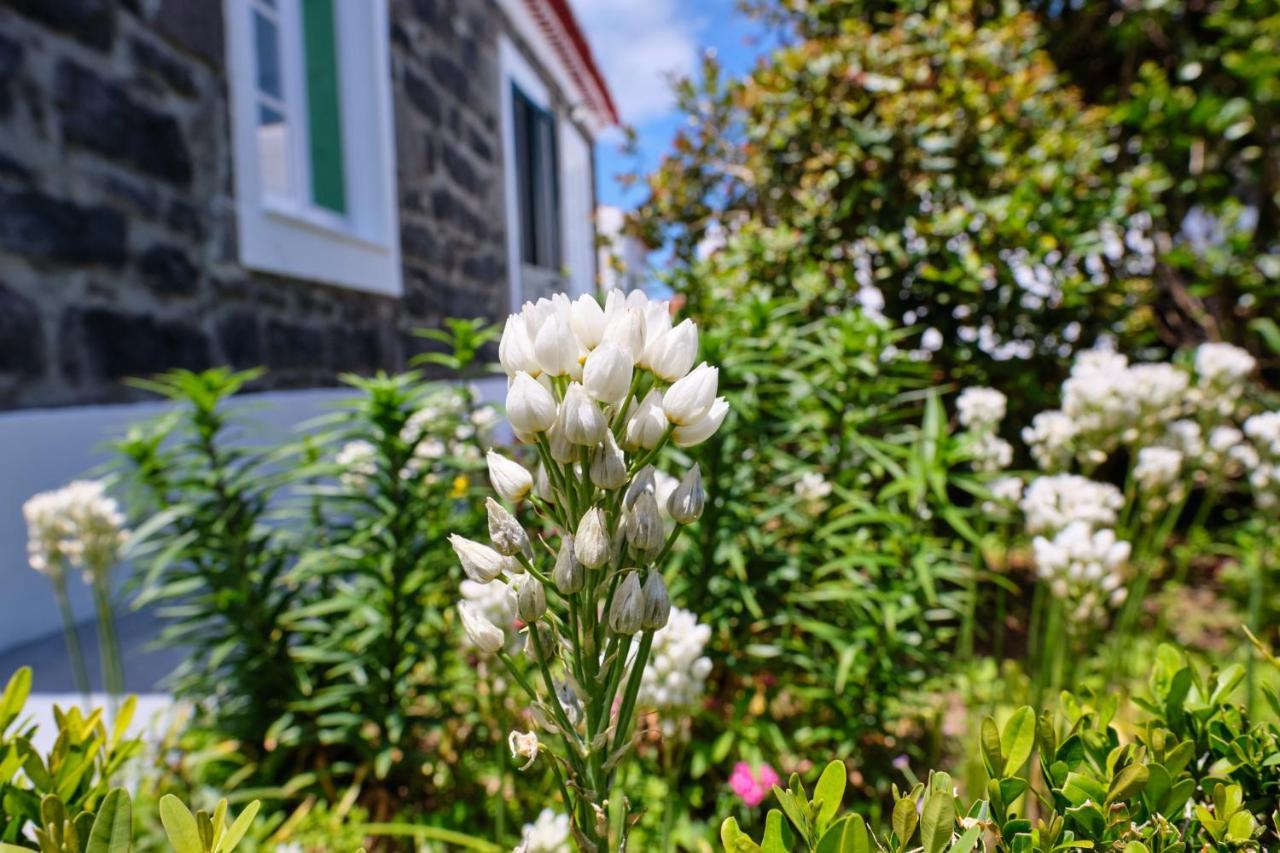 Casa D'Eira Villa Nordeste  Eksteriør billede
